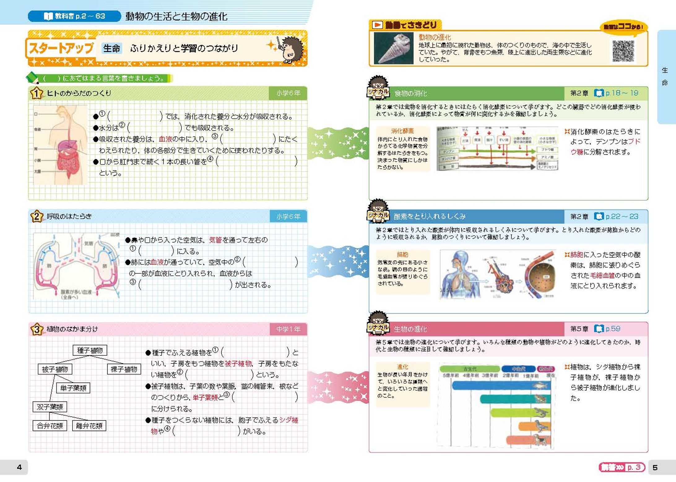 Study-Aid Book Design Direction-1