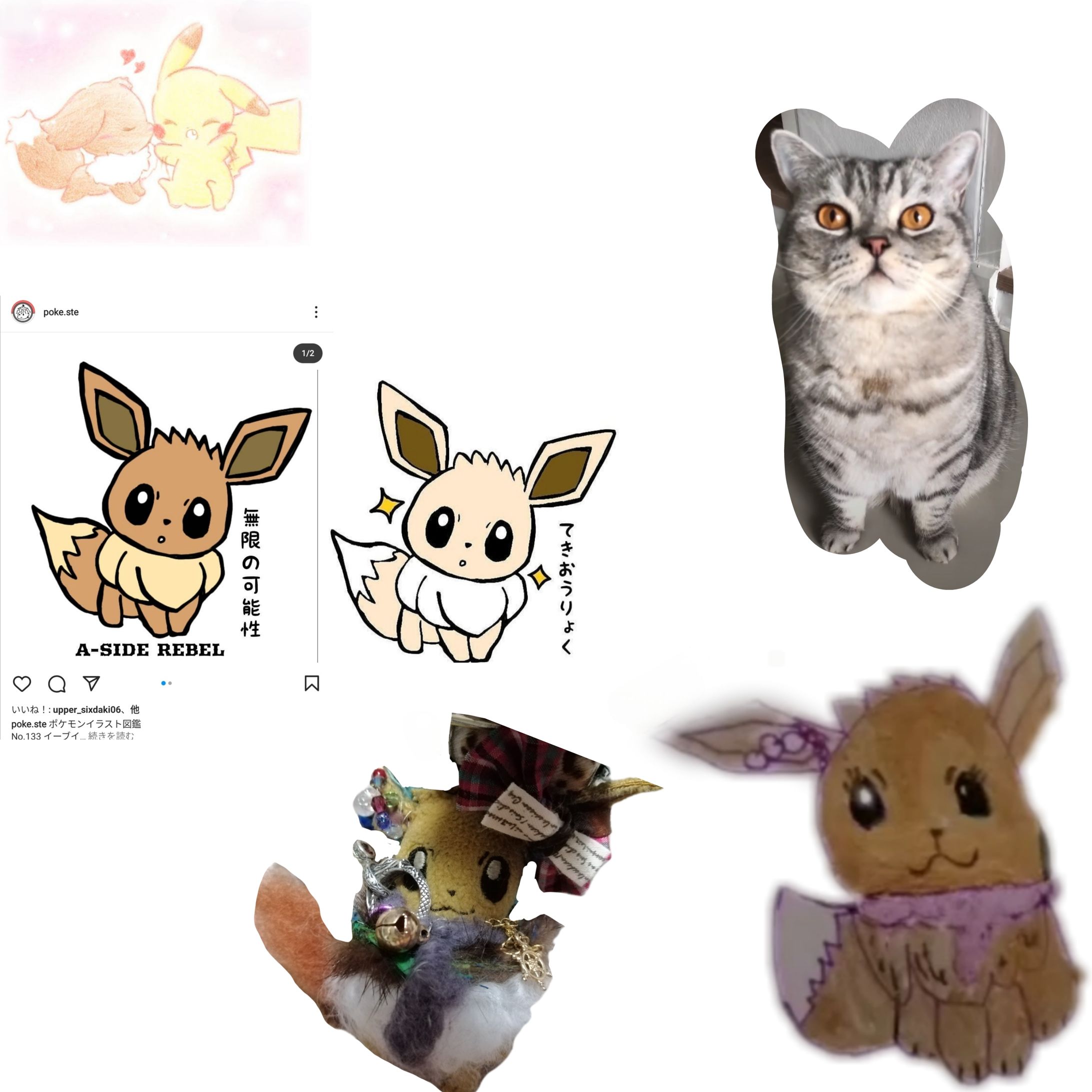 EIEVUI（イーブイ）-1