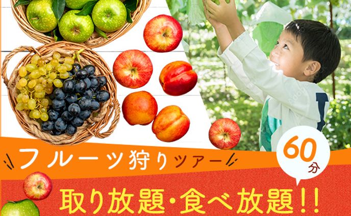 バナー：スイーツ狩りツアー