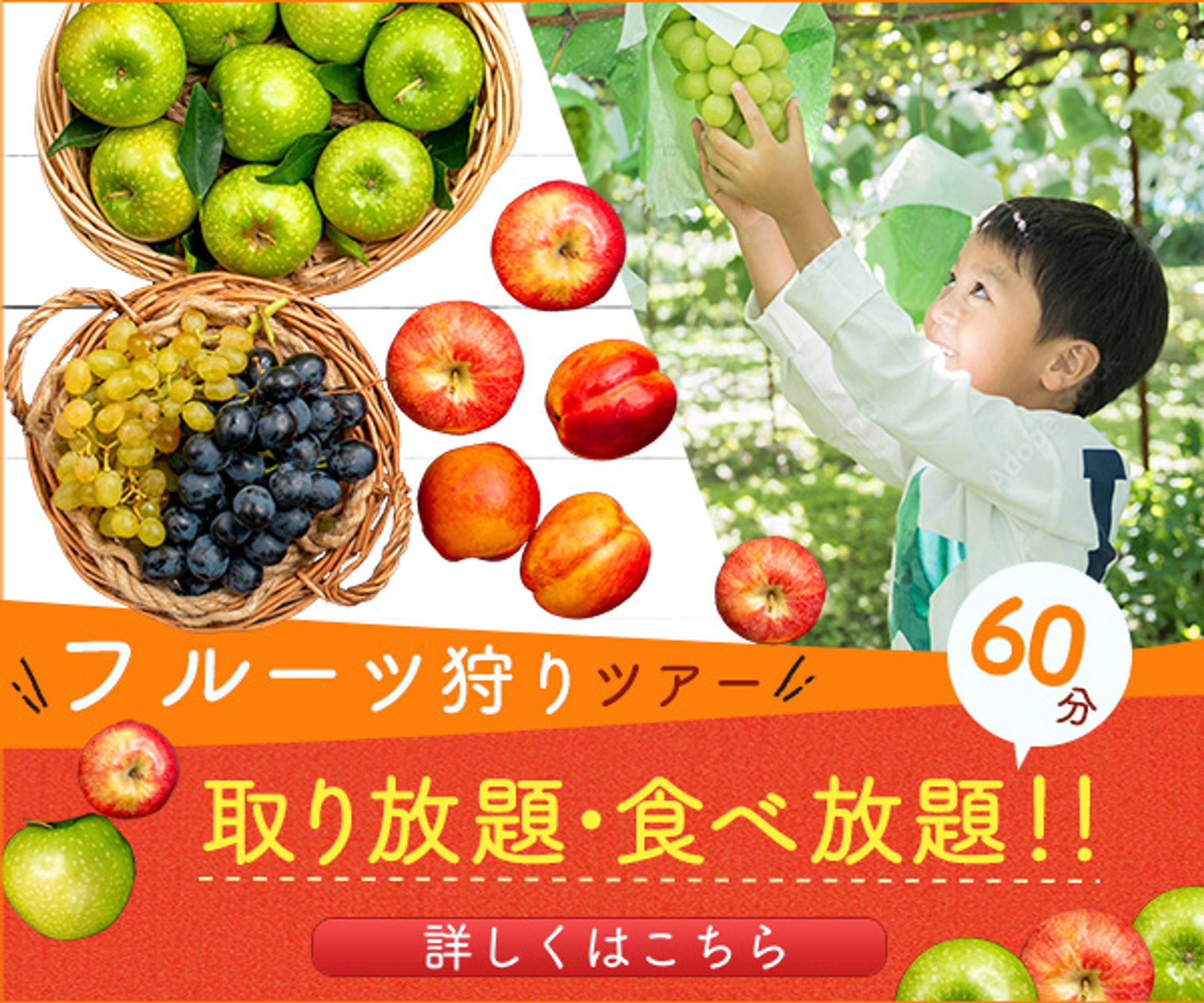 バナー：スイーツ狩りツアー-1