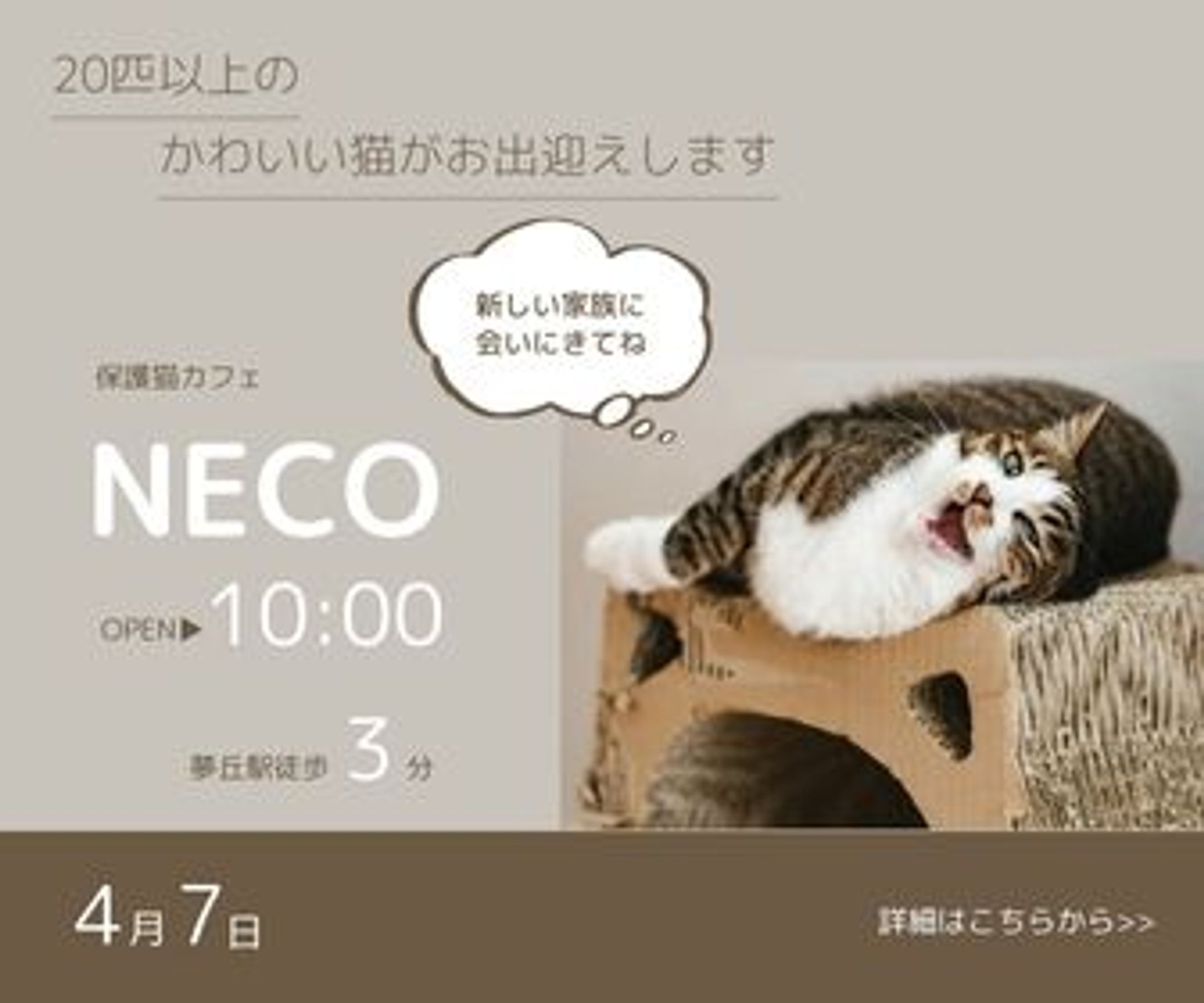 ポートフォリオ②-1