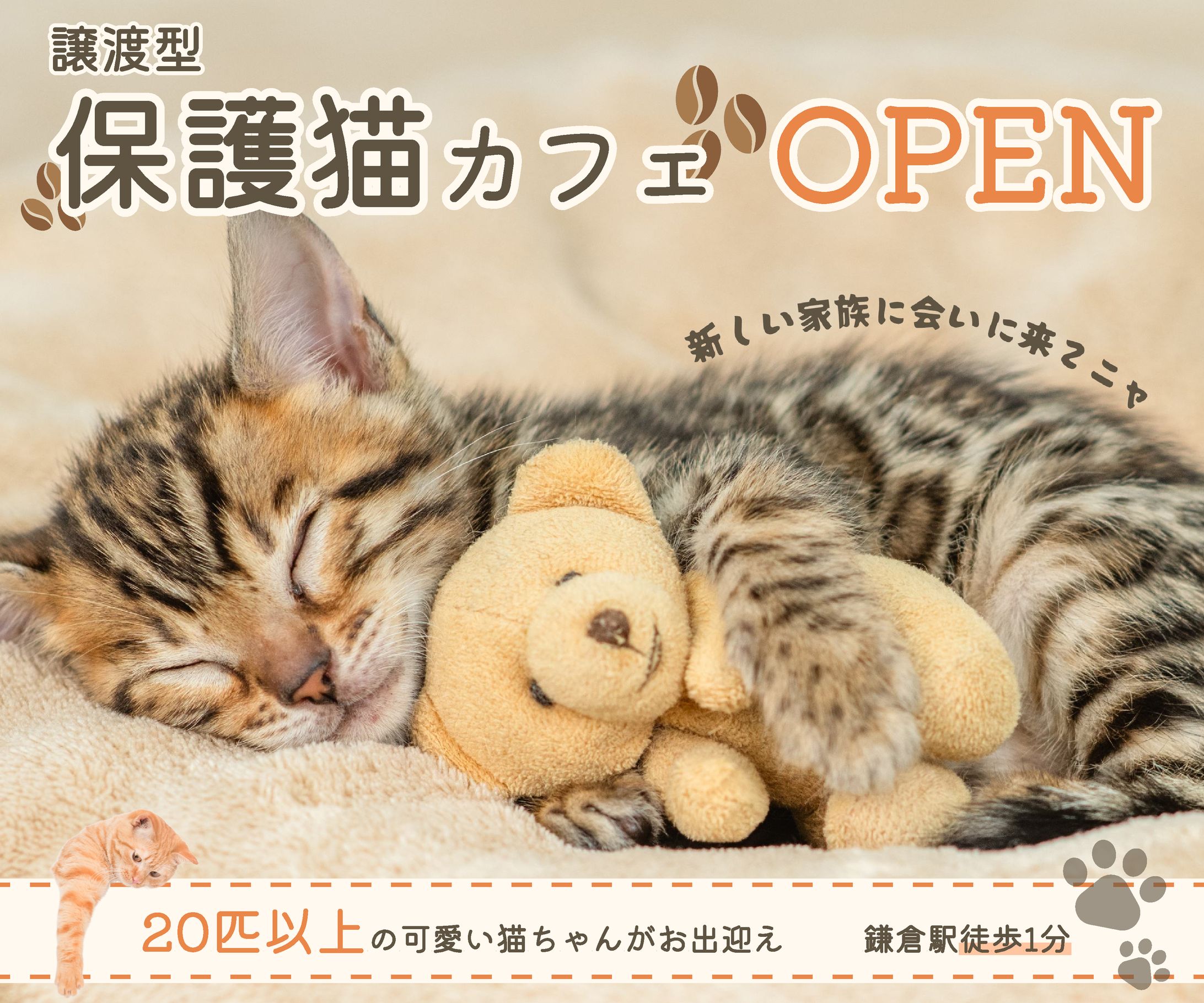 保護猫カフェバナー-1