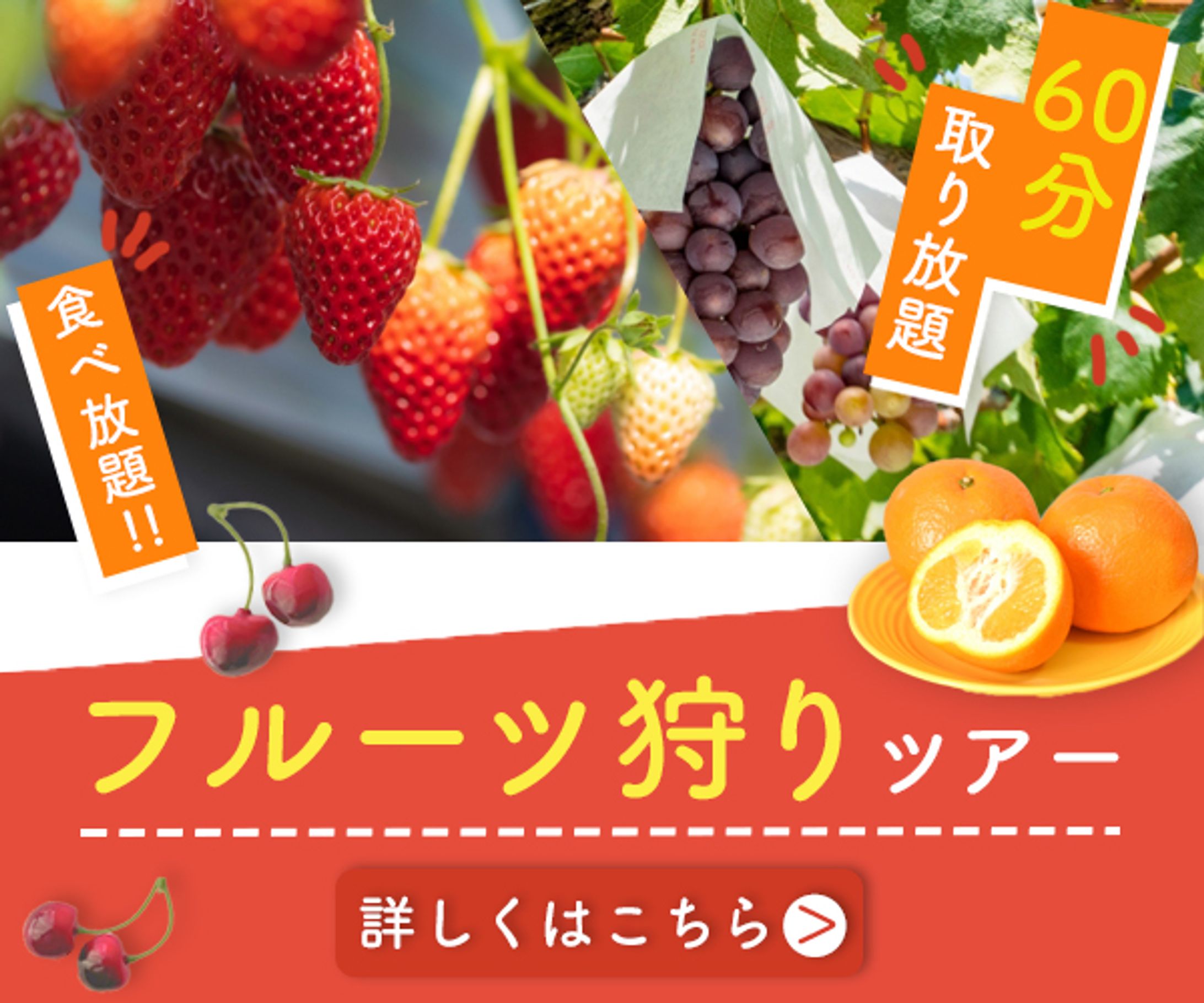 【バナー】フルーツ狩りツアー-1