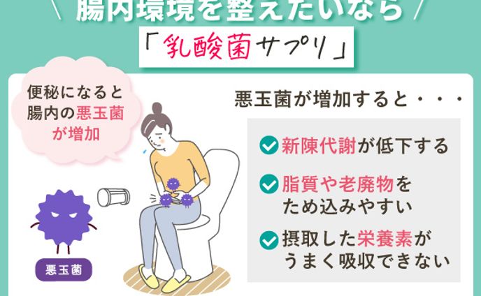 図解