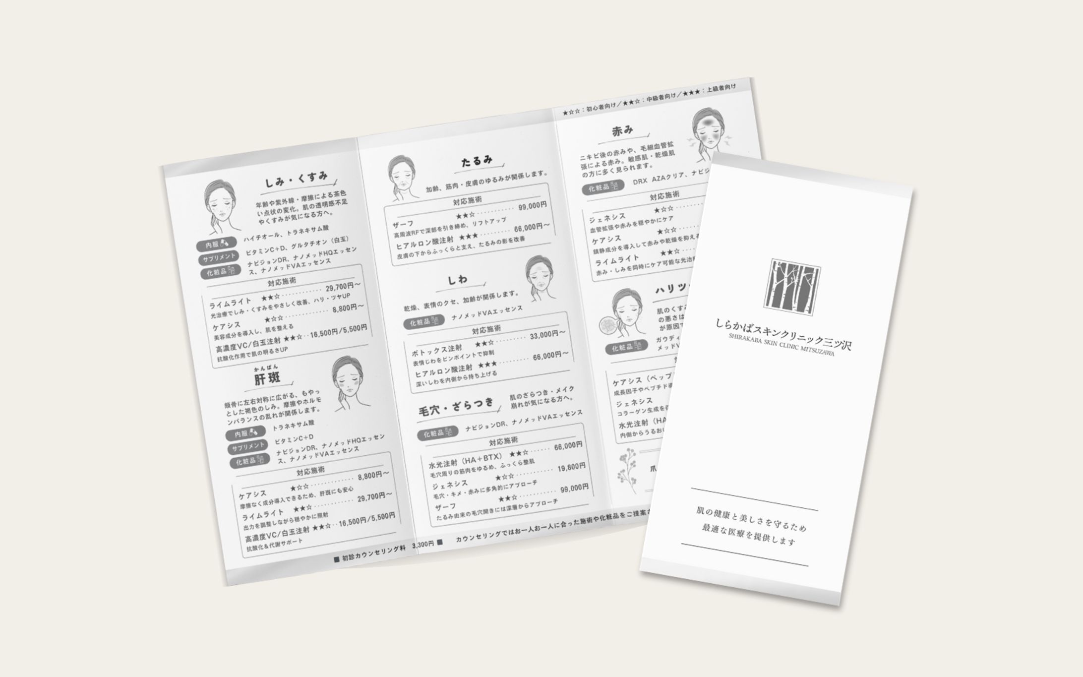 三つ折りパンフレット / クリニック-1
