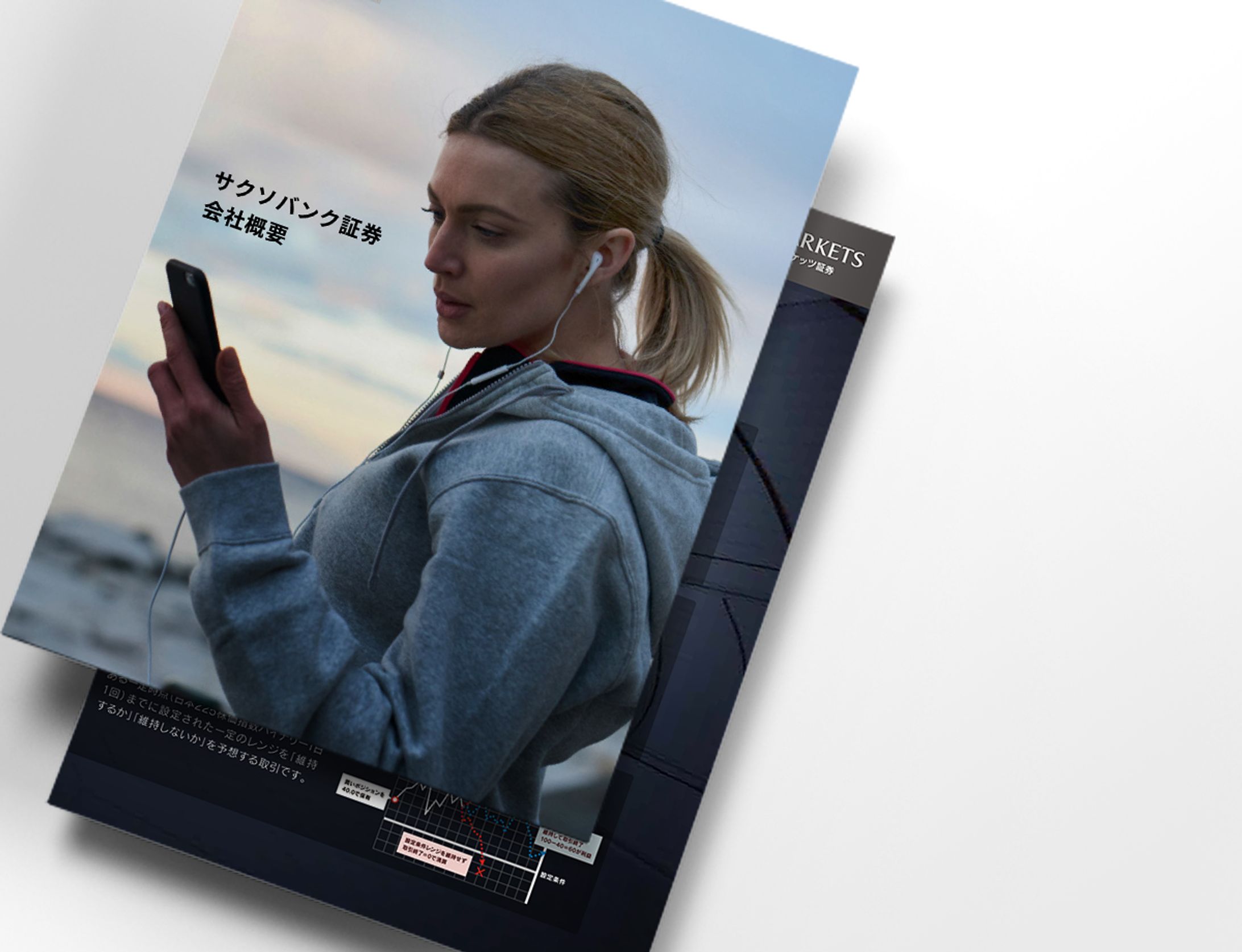 Company brochure-1