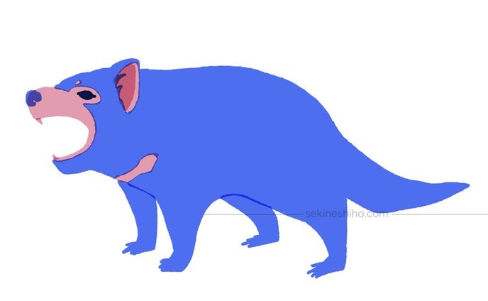 動物イラスト「タスマニアデビル」