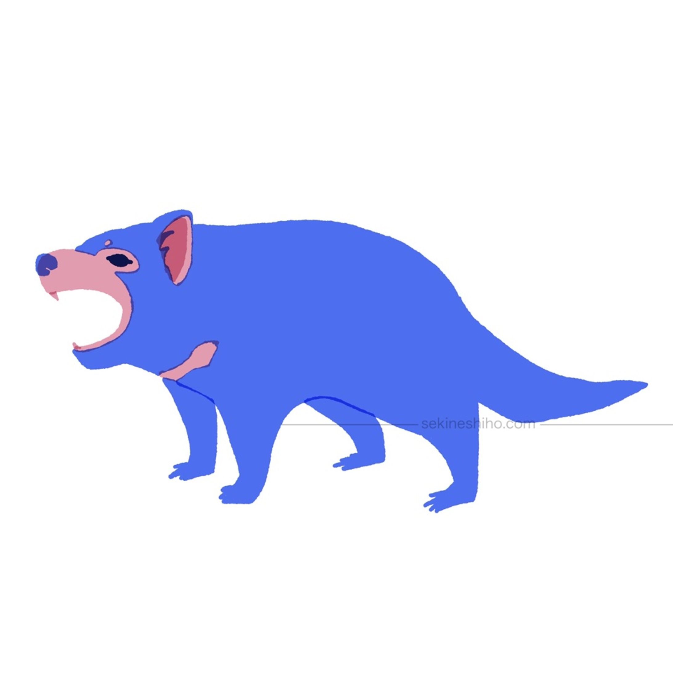 動物イラスト「タスマニアデビル」-1