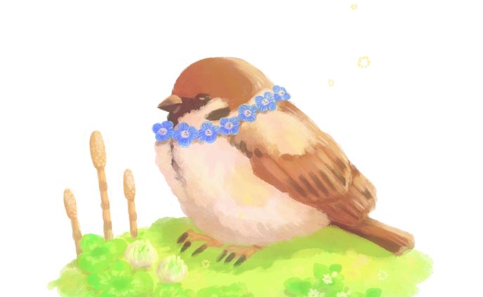 動物など