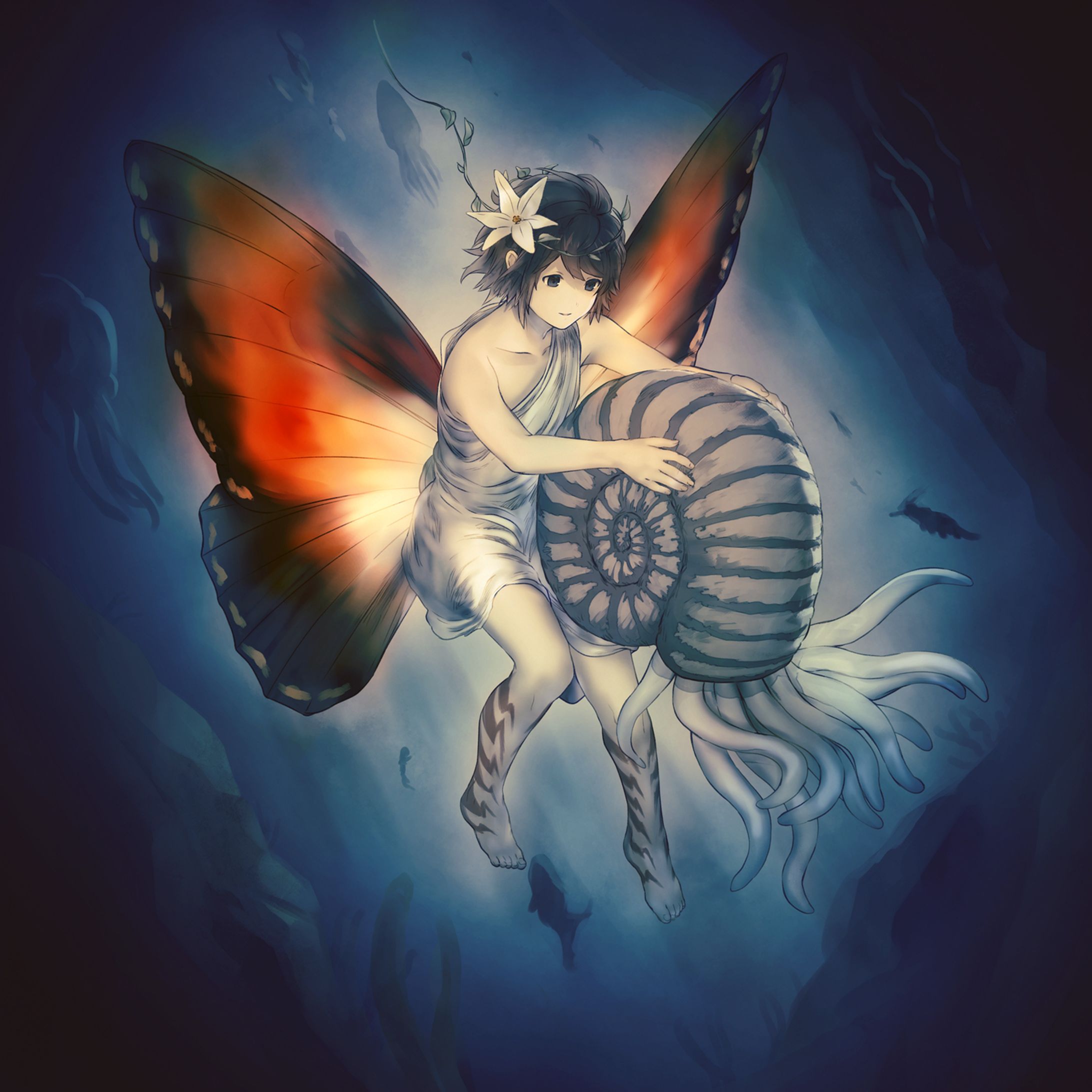 モルフォとアンモーン-1