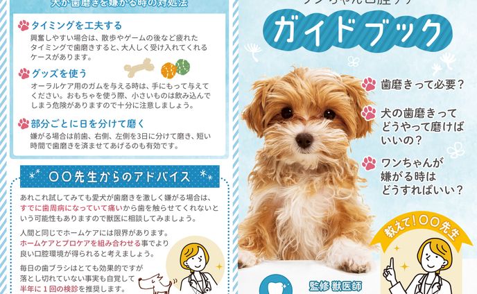 ワンコ用歯ブラシ 商品同梱リーフレット