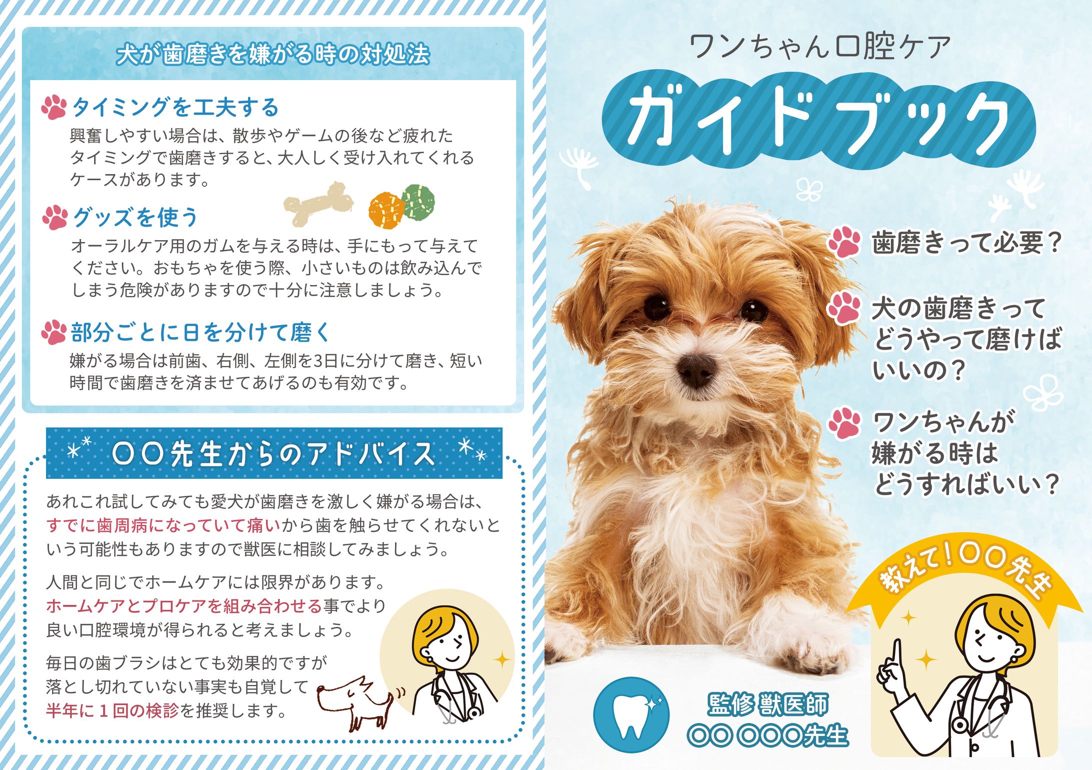 ワンコ用歯ブラシ 商品同梱リーフレット-1