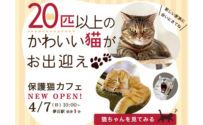 【ほっこり】保護猫カフェOpen バナー