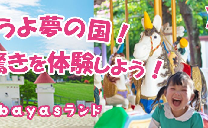 バナー：遊園地チケット