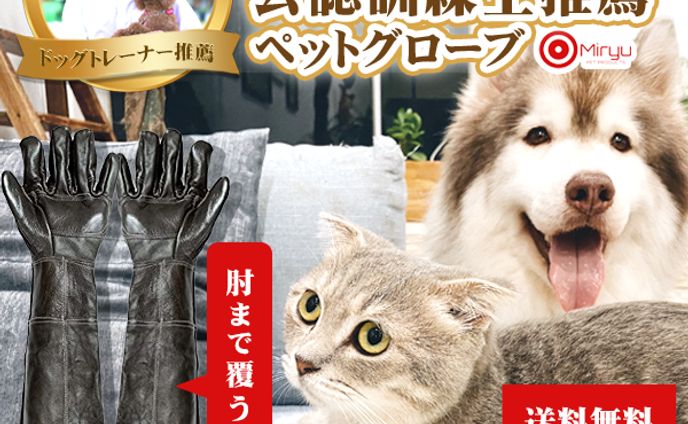 Yahoo!画像