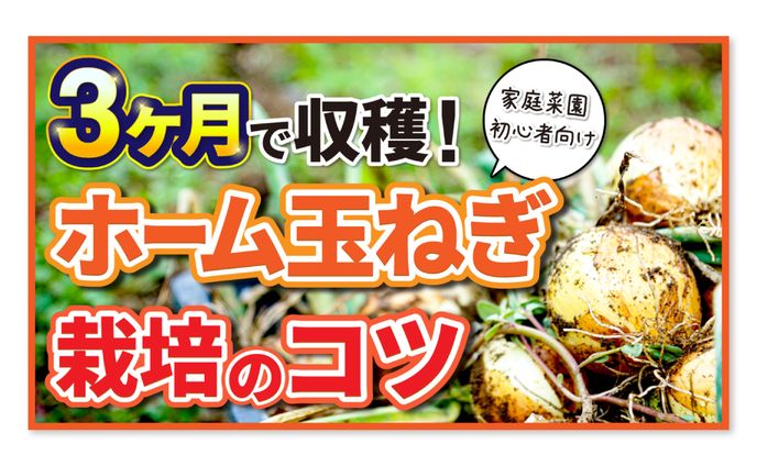 サムネイル、農業