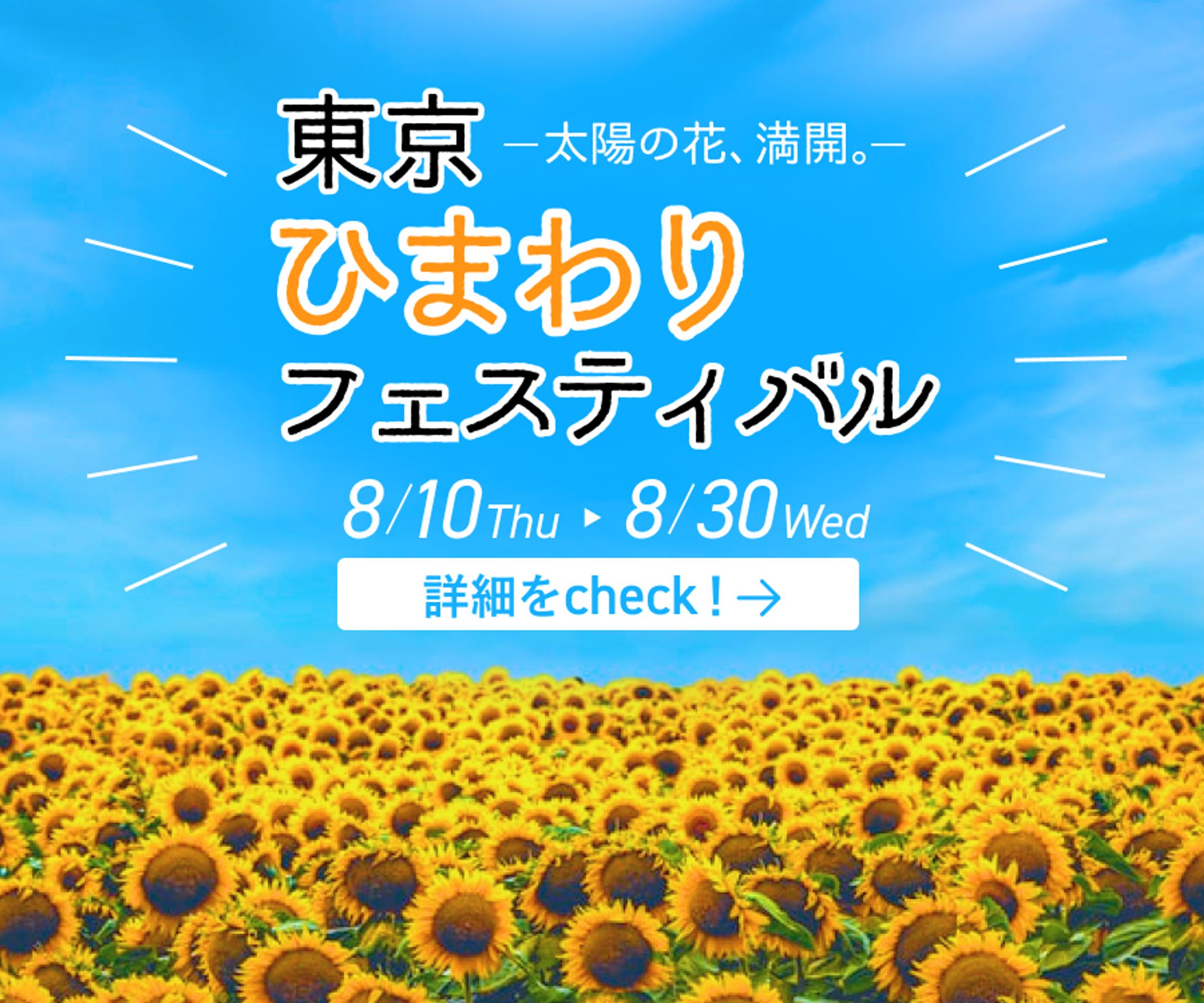 【バナー】ひまわりフェスティバル（300×250）-1