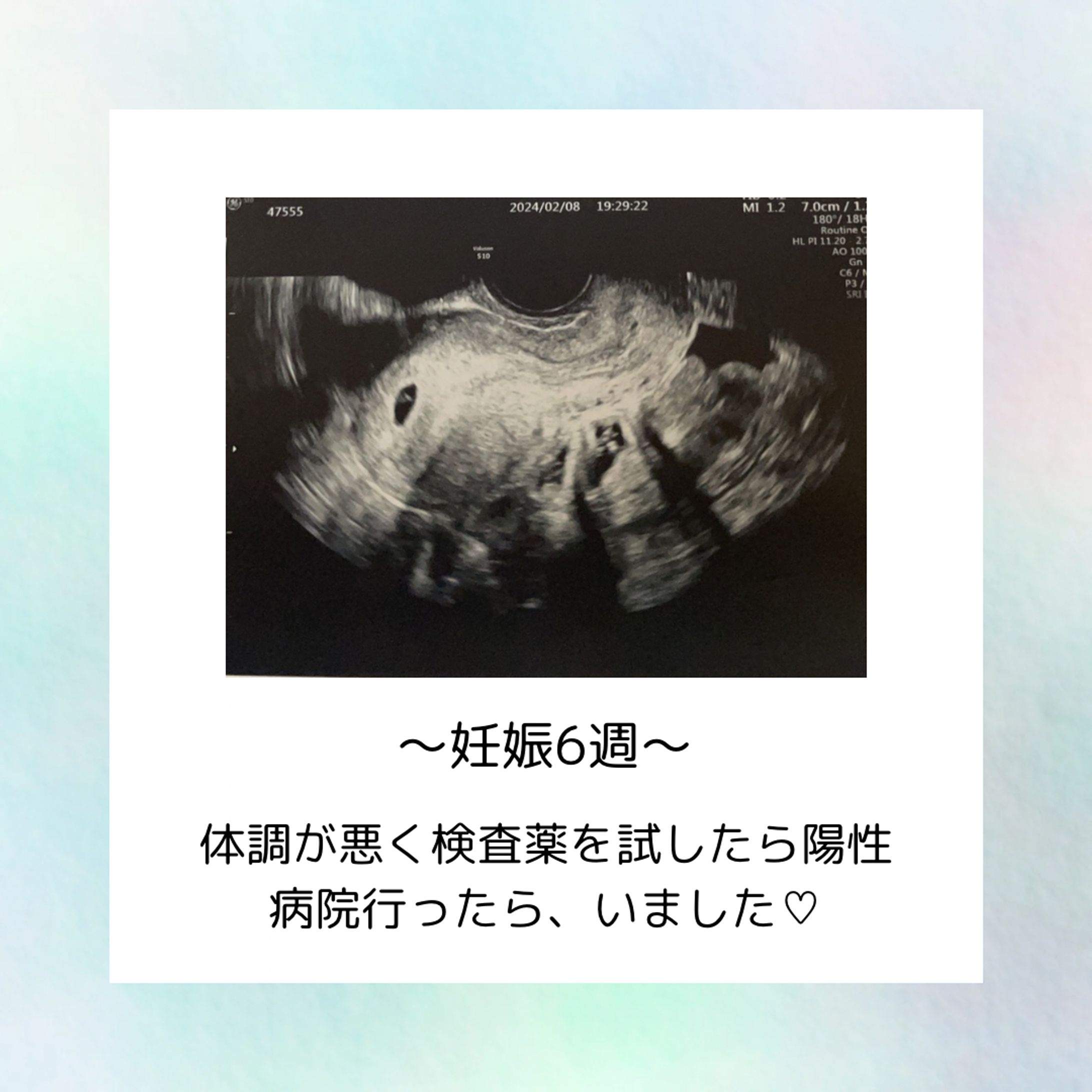 Canva作品-1
