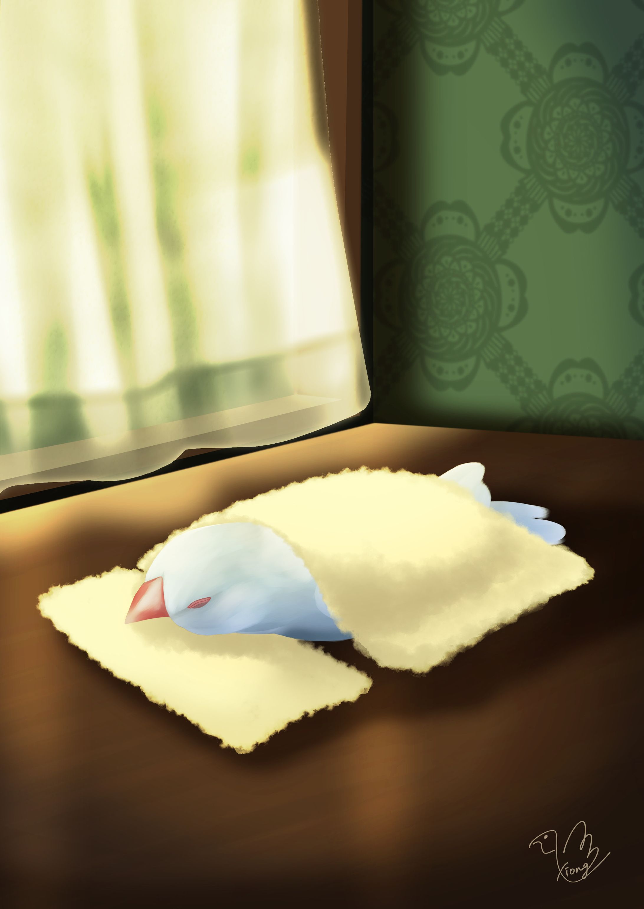 java sparrow take a nap by the window-1