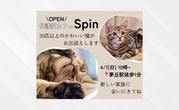 【サンプル】保護猫カフェバナー