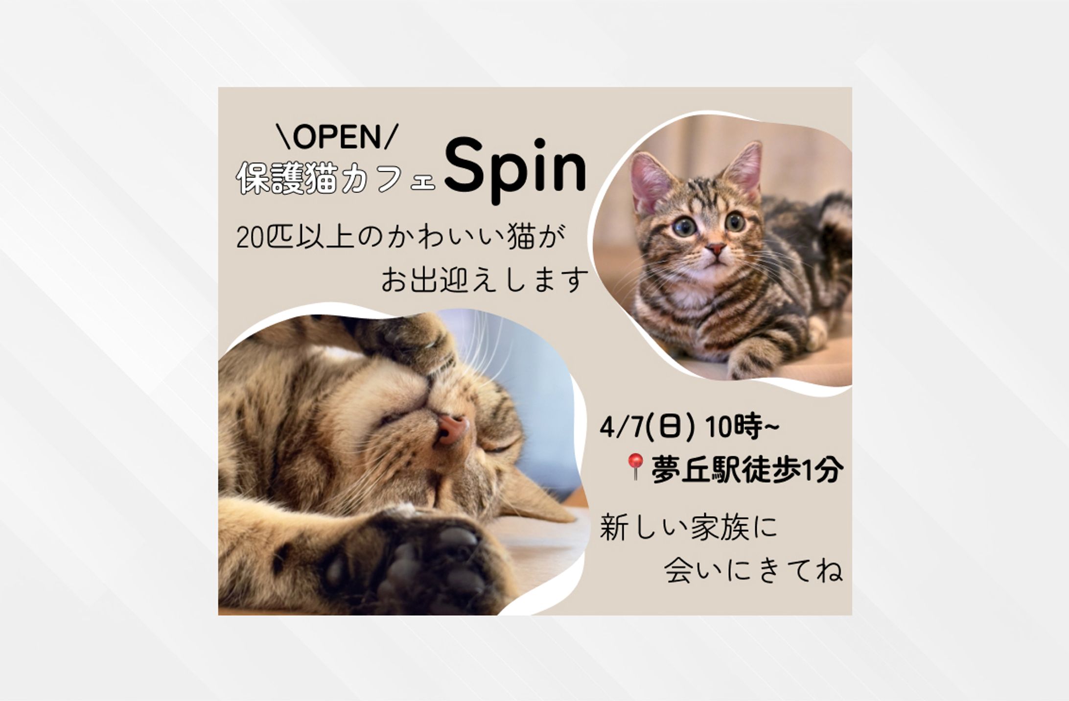 【サンプル】保護猫カフェバナー-1