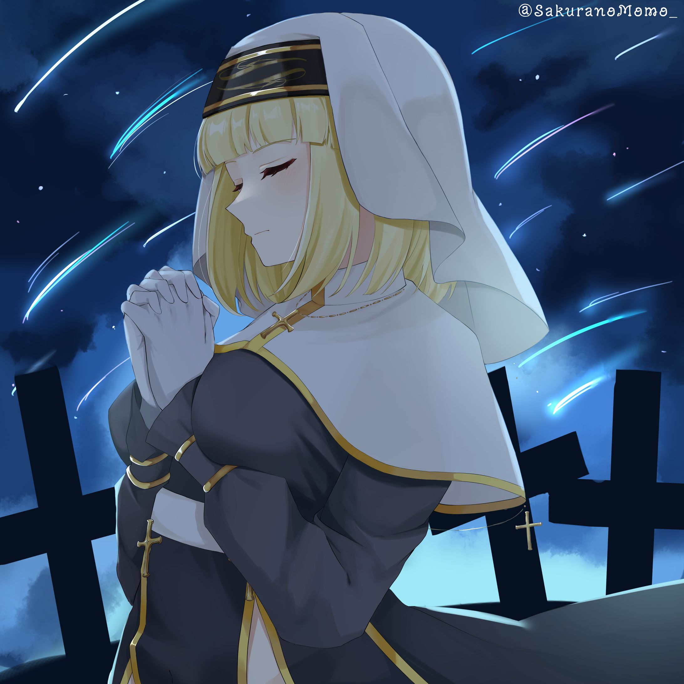 1枚絵-1