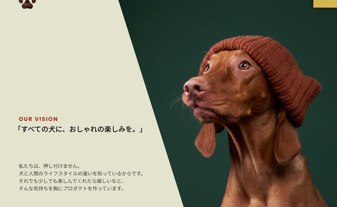 コーポレートサイトFV