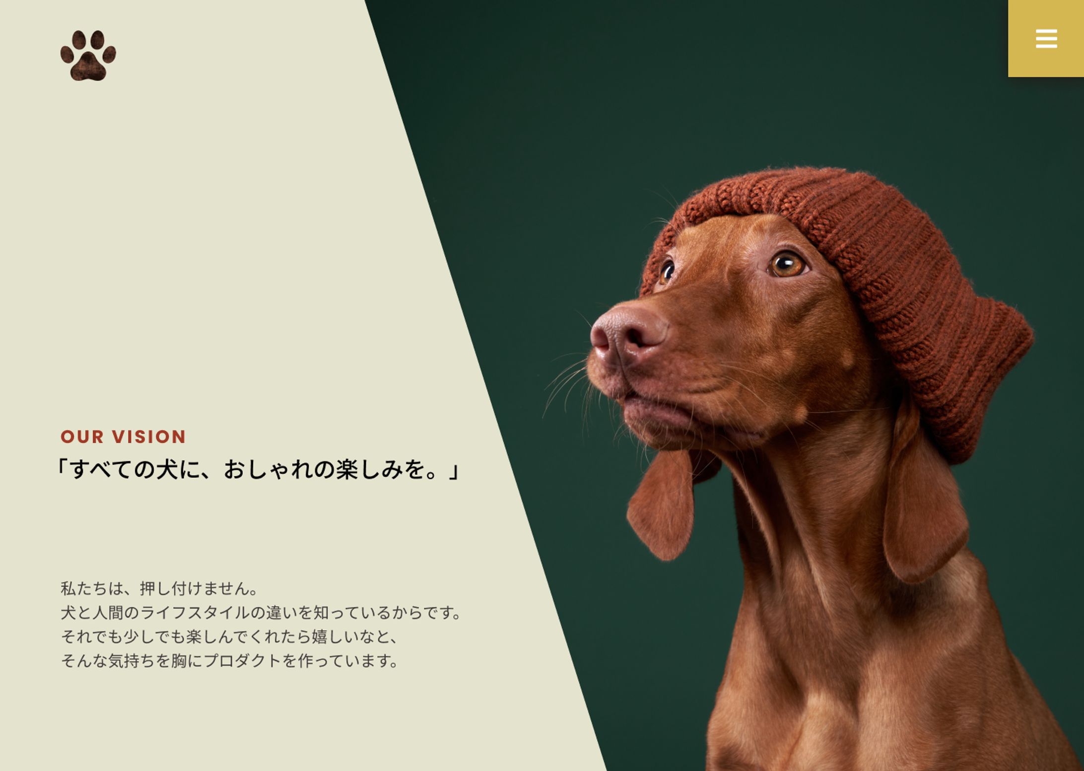 コーポレートサイトFV-1