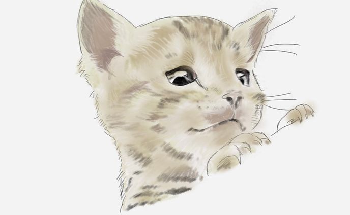 イラスト