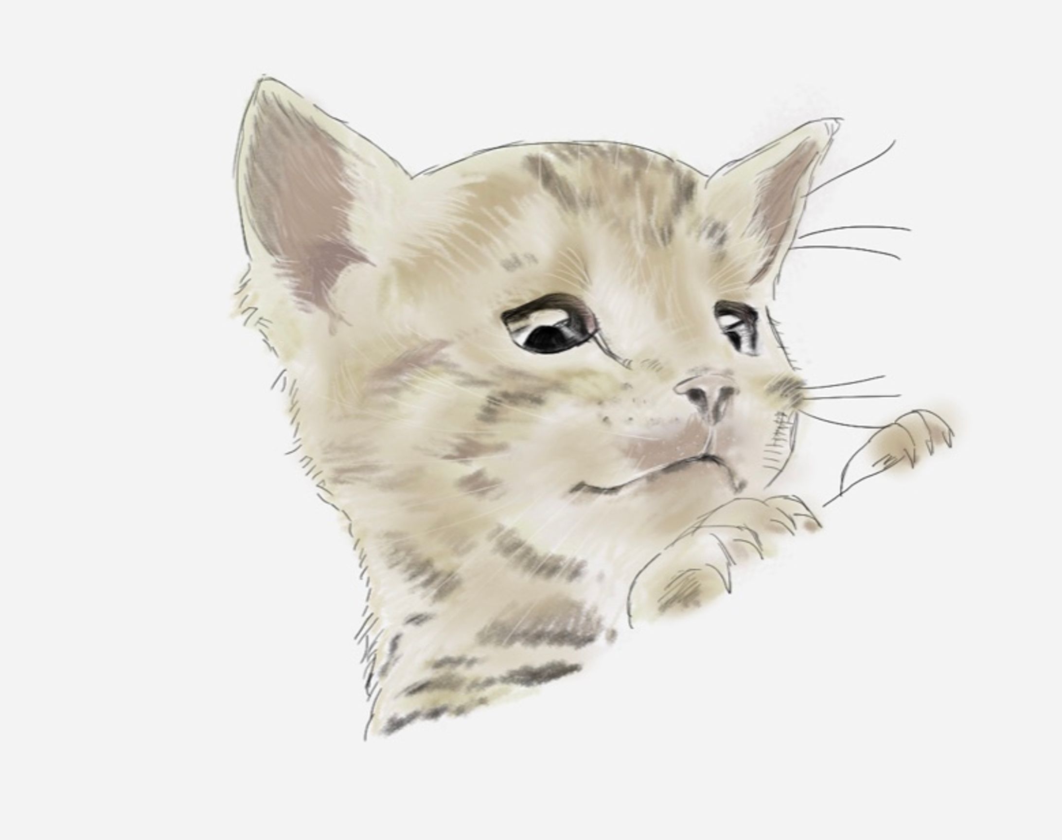 イラスト-1