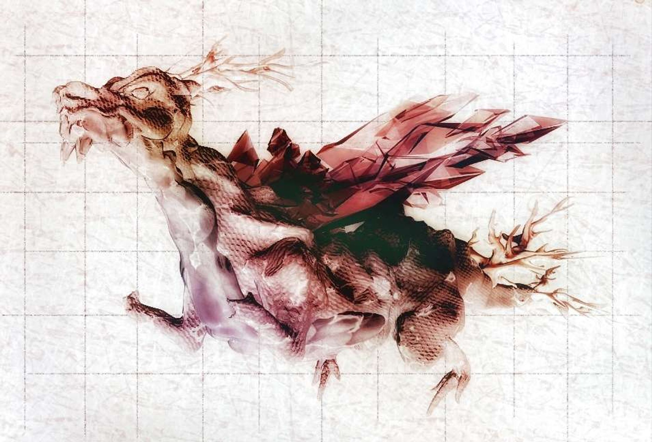 ドラゴン-1