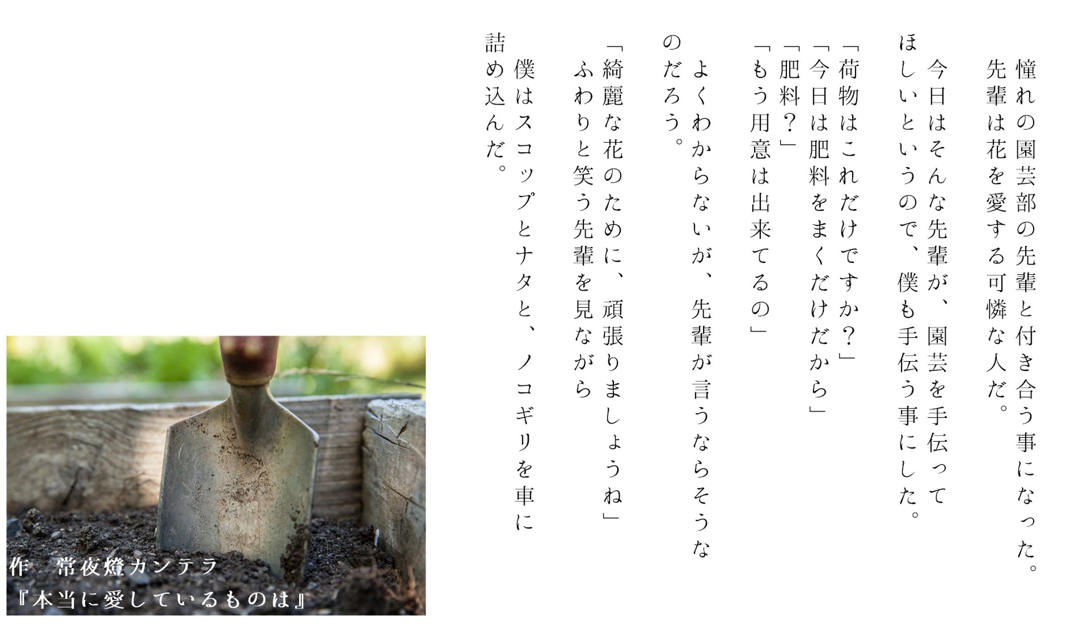 ホラー　短編　朗読『本当に愛しているものは』-1