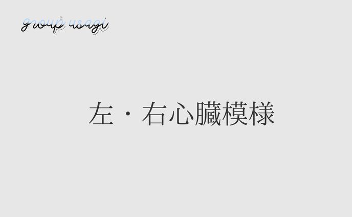 no、うさぎ