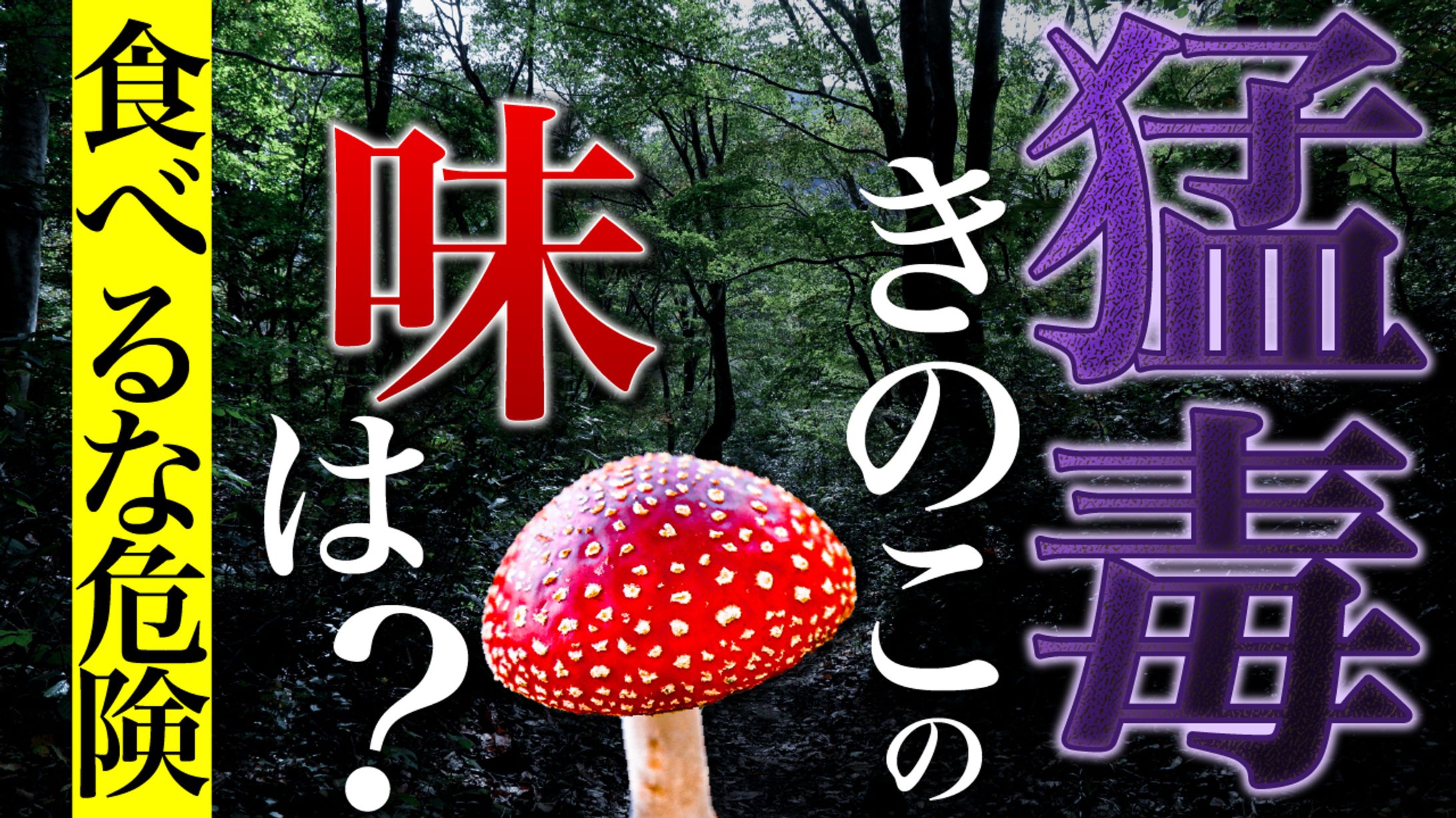 220103 2毒キノコ-1