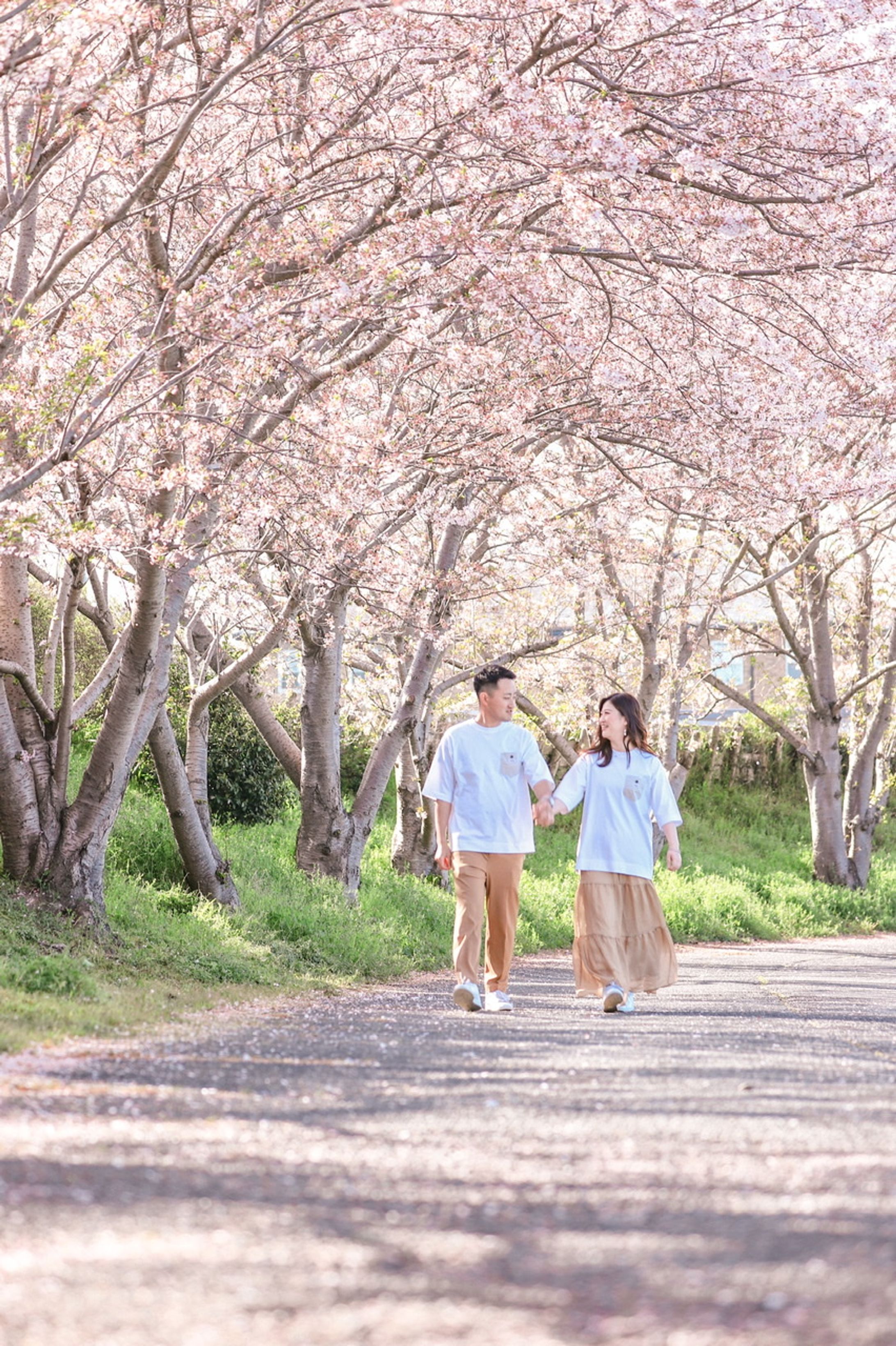 2022 前撮り #桜-1