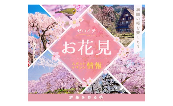 お花見　バナー（600×500）