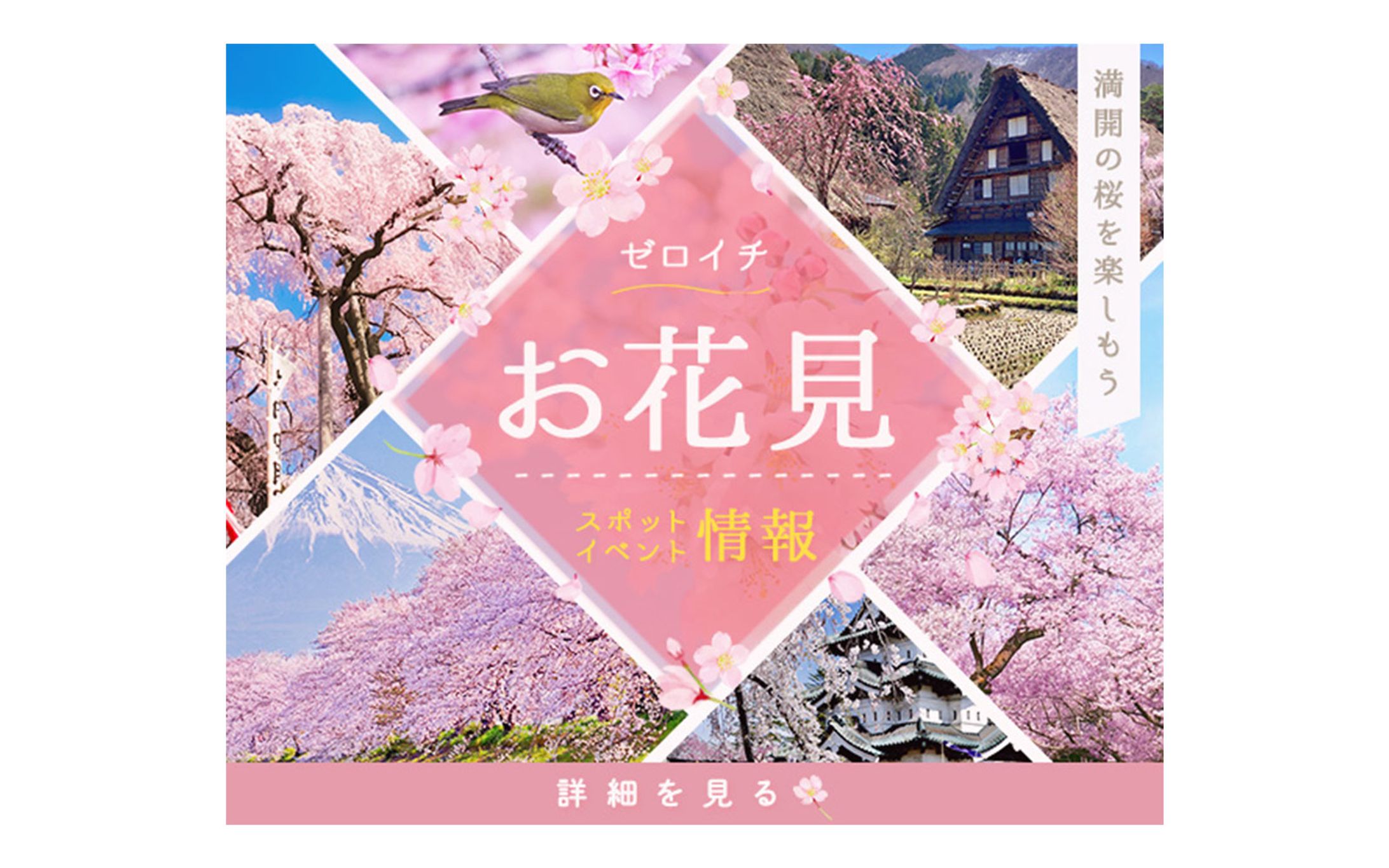 お花見　バナー（600×500）-1