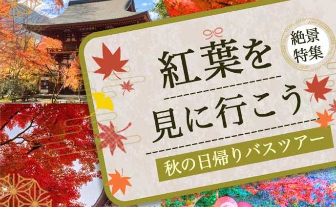 紅葉を見にいこう