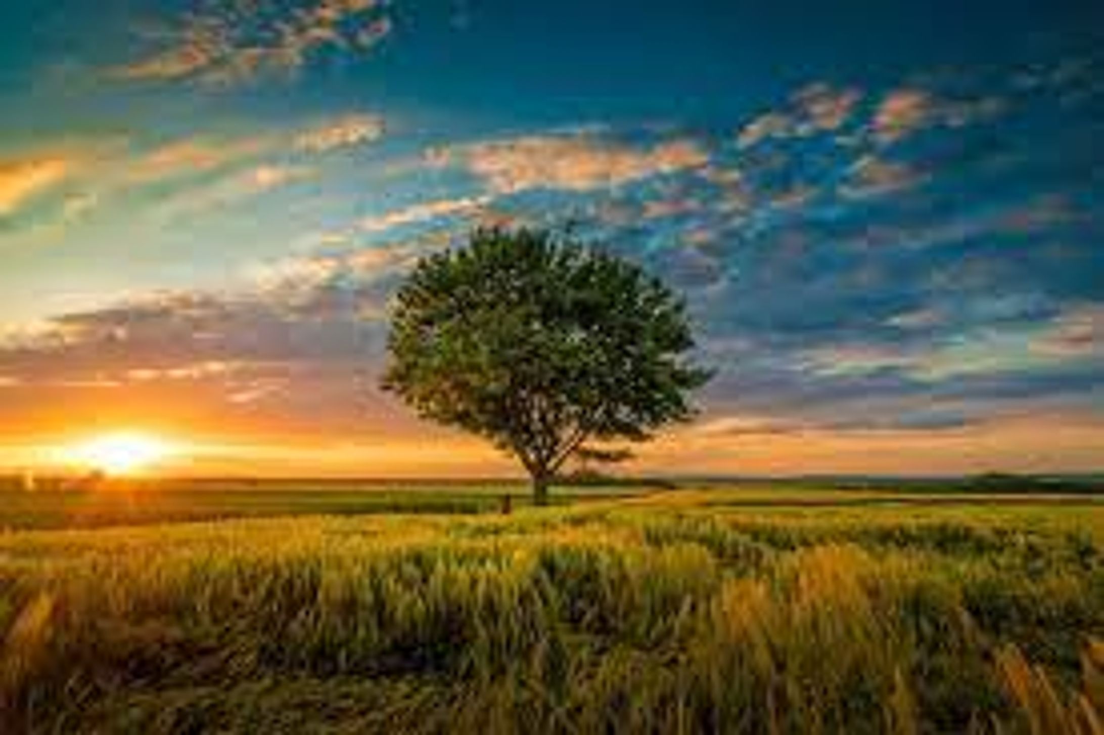 Nature photography-1