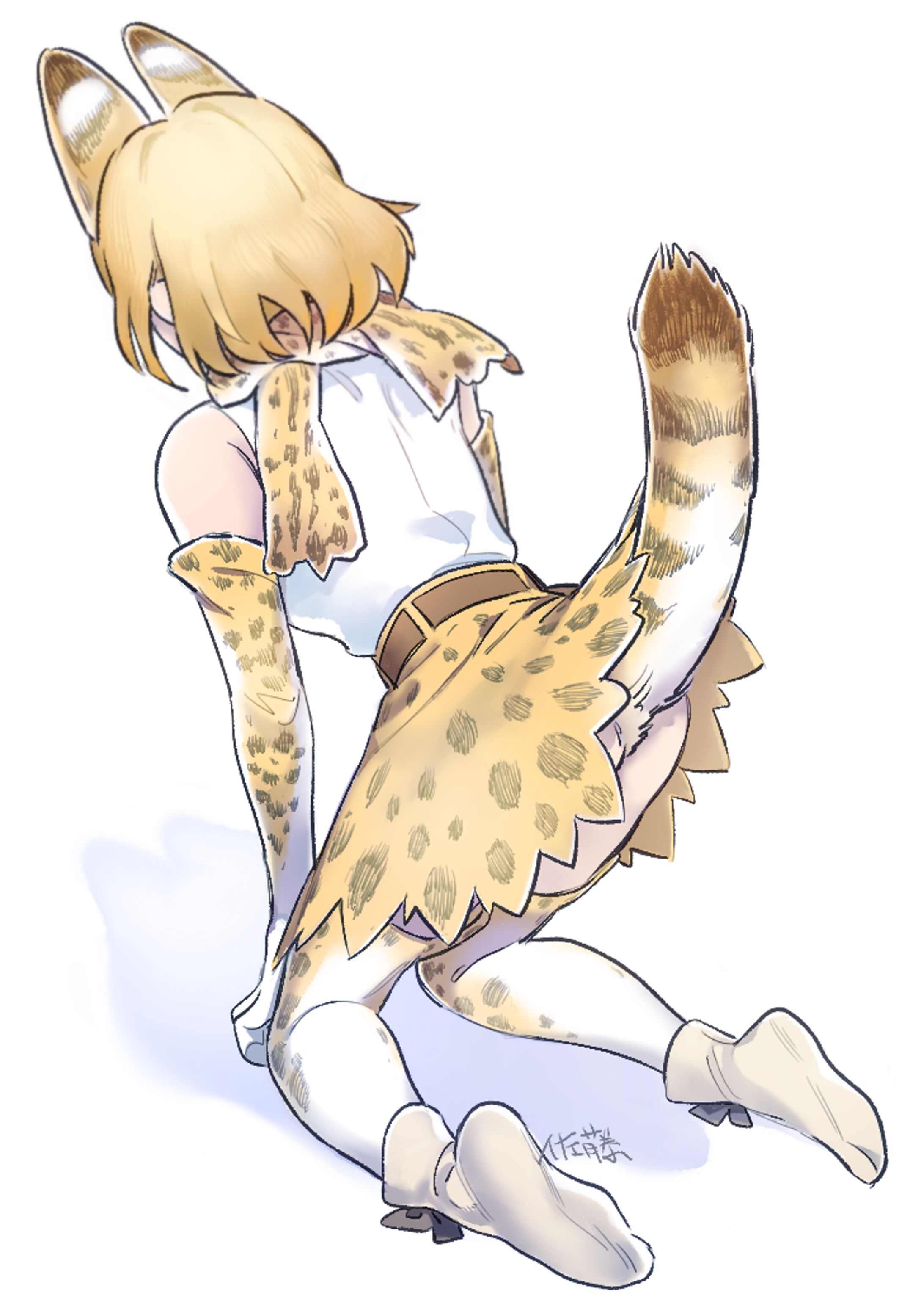 けものフレンズの絵-1