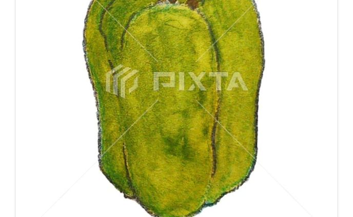⁡■【お野菜】
＼🫑ピーマン🫑／
⁡⁡
⁡⁡
⁡素材イラストとしてPIXTAさまにて販売中〜⁡
⁡よろしくお願いします⁡⁡🙇🏻‍♀️‪‪´-
⁡⁡⁡⁡
⁡
https://pixta.jp/illustration/85566860
⁡⁡⁡
⁡
⁡
⁡#素材イラスト #pixta #ピーマン #greenpepper #watercolors #水彩色鉛筆 #illustration #イラスト #クライアントさんと繋がりたい #挿絵 #出版社さんと繋がりたい  #食べ物イラスト #野菜イラスト #雑誌のお仕事をしたい #飲食店さんを応援したい #書籍のお仕事をしたい