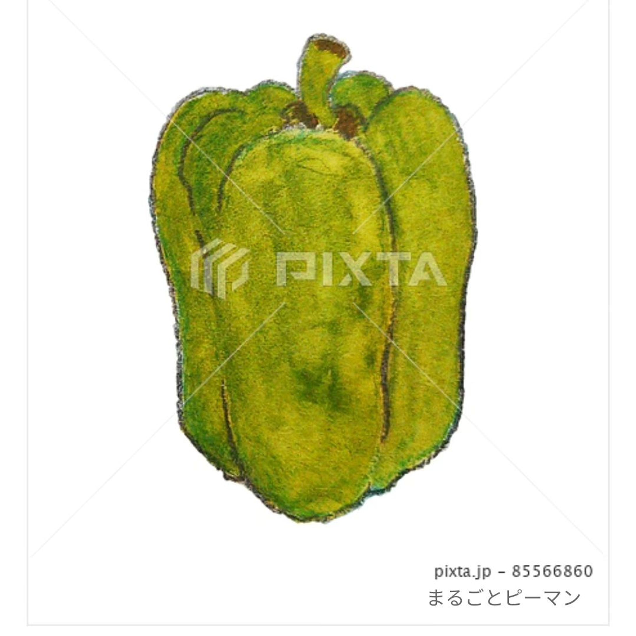 ⁡■【お野菜】
＼🫑ピーマン🫑／
⁡⁡
⁡⁡
⁡素材イラストとしてPIXTAさまにて販売中〜⁡
⁡よろしくお願いします⁡⁡🙇🏻‍♀️‪‪´-
⁡⁡⁡⁡
⁡
https://pixta.jp/illustration/85566860
⁡⁡⁡
⁡
⁡
⁡#素材イラスト #pixta #ピーマン #greenpepper #watercolors #水彩色鉛筆 #illustration #イラスト #クライアントさんと繋がりたい #挿絵 #出版社さんと繋がりたい  #食べ物イラスト #野菜イラスト #雑誌のお仕事をしたい #飲食店さんを応援したい #書籍のお仕事をしたい-1