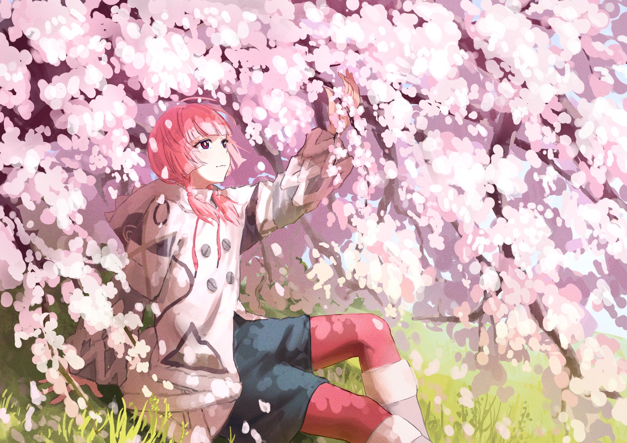 花譜カレンダー-1