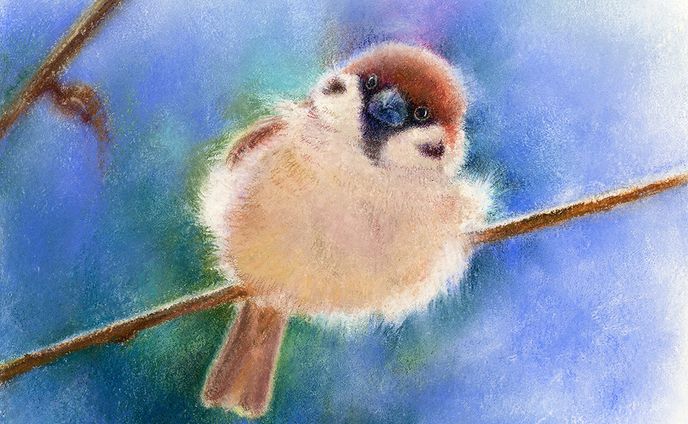 イラストレータ、アーティスト