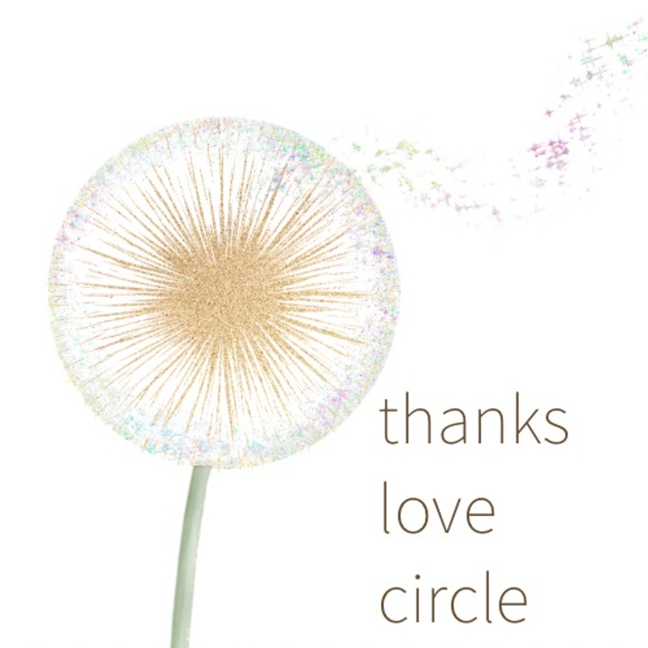 DCB8FE7C F9C0 45EF AE9B 98C77AD569CA-1