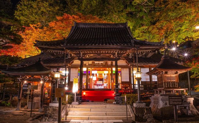温泉寺- ̗̀💡 ̖́-
＊
ライトアップされた紅葉と温泉寺はとても幻想的で感動しました🍀*゜
＊
本堂の裏手の方へ上がっていける道があり、道沿いの紅葉がまぁ〜見事でした！🍁✨
＊
今年のライトアップは終わってしまったけど、すごくいいスポットなので、来年の秋はぜひ、皆さんお越しくださいね！！
＊
下呂温泉街では12月からウィンターイルミネーションが始まり、冬の花火大会も開催されますよ！🎇
ぜひ遊びにきてね〜♡
＊
温泉寺
紅葉ライトアップ期間終了
2022.11.11〜11.20
＊
撮影日時　2022.11.12
撮影場所:温泉寺
＊
🍁🍁🍁🍁🍁🍁🍁🍁🍁

みんすと紅葉祭開催中！
12月12日まで✨

みんすと系列　3HUB合同紅葉祭

@mst_photo.jp 
風景とポトレをfeature

@mst_story.jp 
フィルムと紅葉写真

@mst_flora.jp 
紅葉お出かけスポット掲載

素敵な秋のお写真には

 #みんすと #みんすと紅葉祭

をつけて投稿して下さいね🍁

🍁🍁🍁🍁🍁🍁🍁🍁🍁
＊
❀❁❄︎❀❁❄︎❀❁❄︎❀❁❀❁❄︎❀❁❄︎❀❁❄︎❀❁❄︎❀❁❄︎

⛰岐阜県観光公式サイト🚃
『岐阜の旅ガイド』
@visit.gifupref にて
地元レポーター あすみん として
記事を書いております✍️

岐阜県内の素敵な場所やイベント、
人や物など、魅力的な情報を発信してまいります。
新しくできたお店や、素敵な場所の情報など、
皆さんのお気に入りを是非教えてください！🥰

岐阜の旅ガイド
『地元レポーター発！旅のコラム』はこちら↓
https://www.kankou-gifu.jp/blog/index_1____154.html 

プロフィールのURLから記事へ飛べます♪
@asumisenoue 

是非、ご覧ください♪☺️

❀❁❄︎❀❁❄︎❀❁❄︎❀❁❀❁❄︎❀❁❄︎❀❁❄︎❀❁❄︎❀❁❄︎
＊
 #飛騨の景色を届けたい #飛騨のたばる箱 #gifuebooks #gifuphoto #photo_travelers #gerostagram #_photo_drive_ #岐阜県インスタ部 #bestjapanpics #photo_shorttrip #tokyocameraclub #広がり同盟  #visitjapanjp #japan_bestpic_ #pixlib_jp #lovers_nippon #ひだジェニック #東海紅葉フェス2022 #東京カメラ部 #japantravelgallerycontest2022 #jalan_travel  #hidatrip  #raytrek_photographer #ritrip_nippon #special_spot_ #ぎふの旅 #飛騨の絶景 @gerostagram