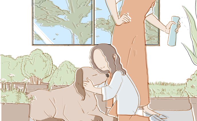 DOMATO  webサイトイラスト