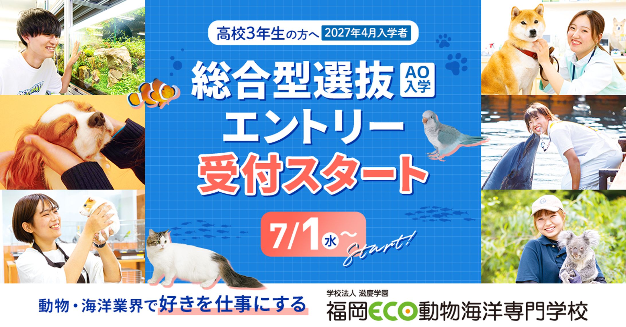 動物・海洋について学べる学校の入試案内バナー-1