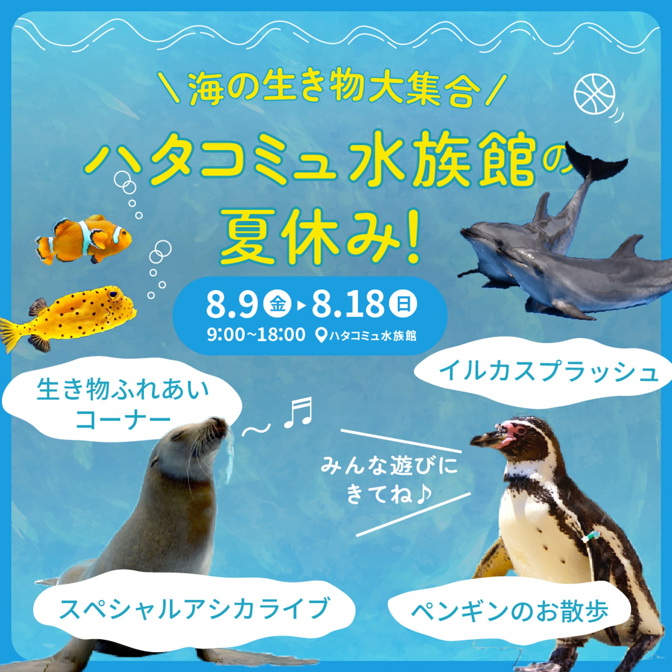 ハタコミュ水族館夏休みイベントバナー-1