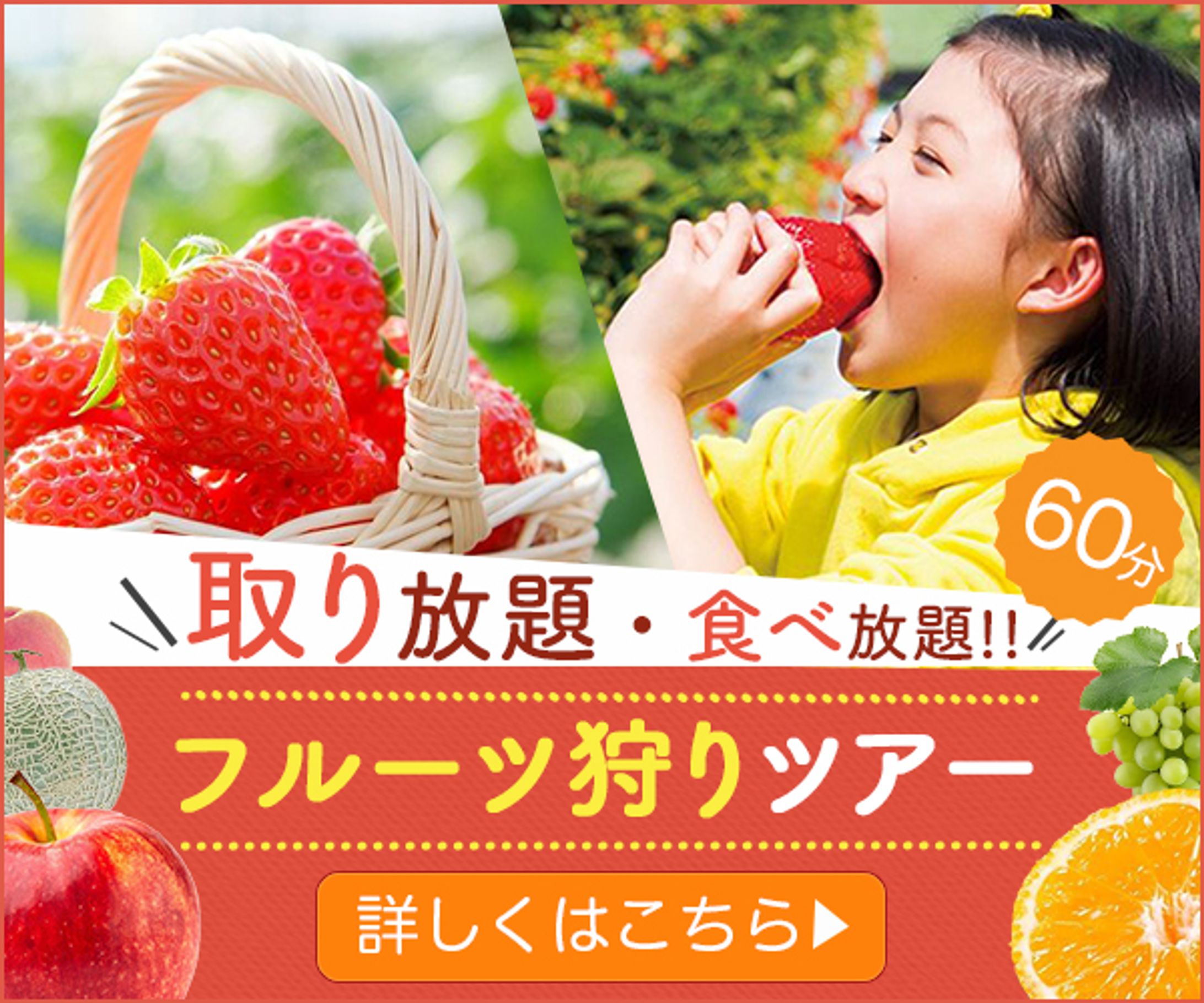 【バナー】：フルーツ狩りツアー-1